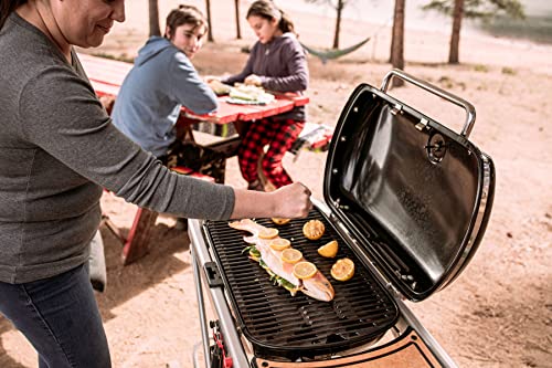 Weber Traveler Portable Gas Grill