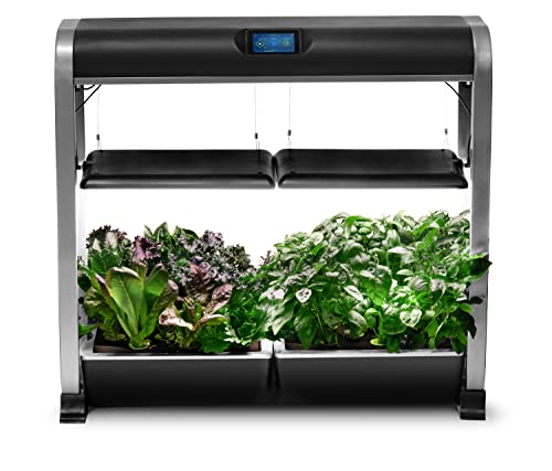 AeroGarden Farm 24Plus Salad Black