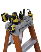 Louisville Ladder FS1510 Fiberglass 10 Feet