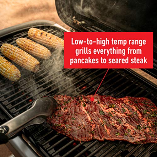 Weber Traveler Portable Gas Grill