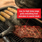 Weber Traveler Portable Gas Grill