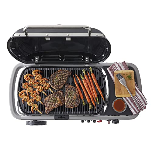 Weber Traveler Portable Gas Grill