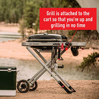 Weber Traveler Portable Gas Grill