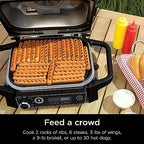 Ninja Woodfire Included Portable Electric