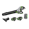 POWER+ Blower 765 CFM Kit with 2 x 5Ah Batteries LB7654-2 from