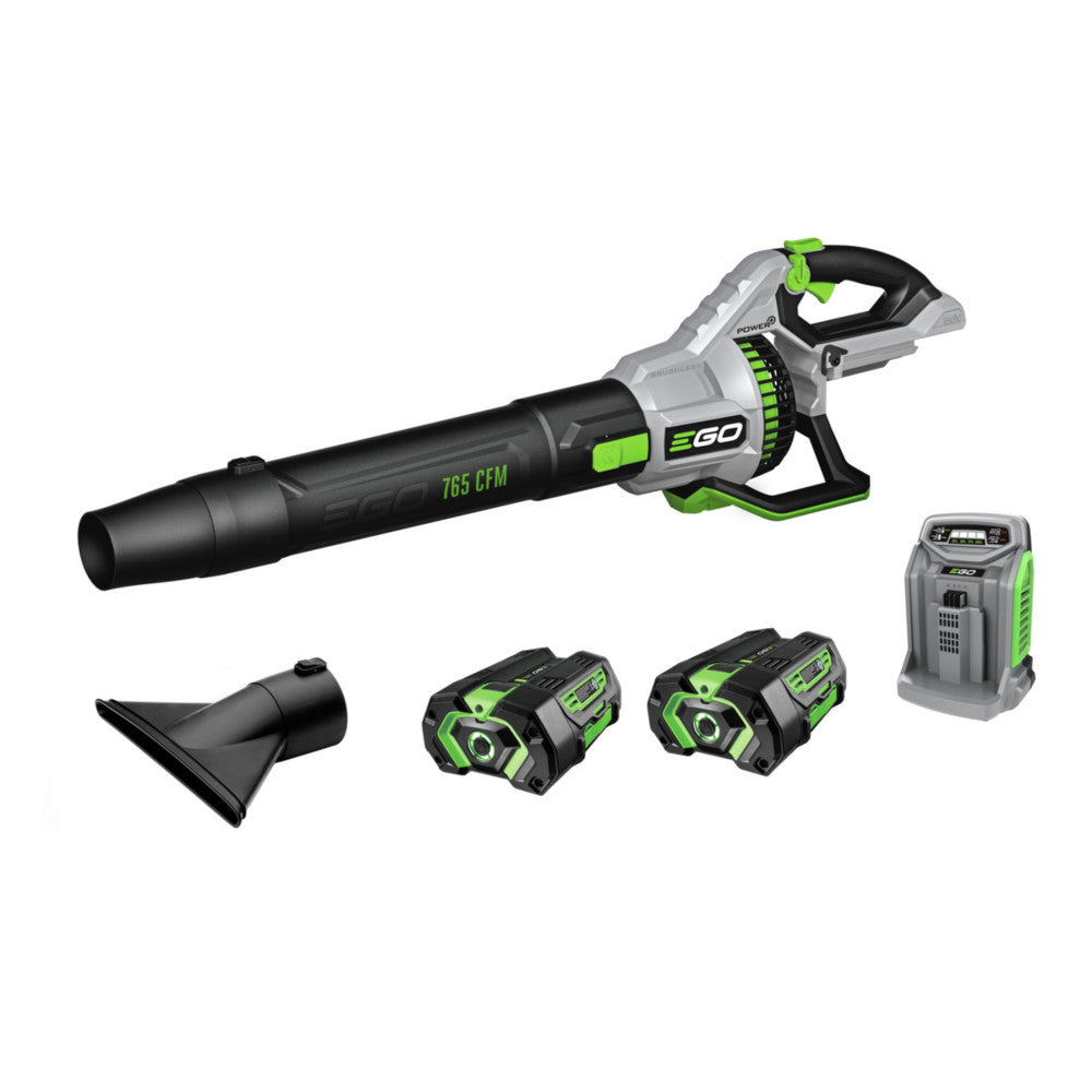 POWER+ Blower 765 CFM Kit with 2 x 5Ah Batteries LB7654-2 from